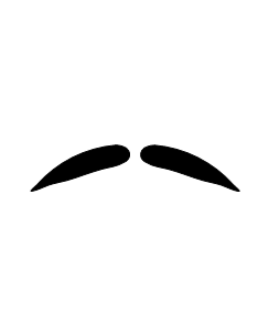 Movember mustache