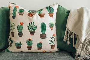 Cushions